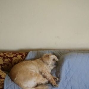 Meet your Posher, Barbara